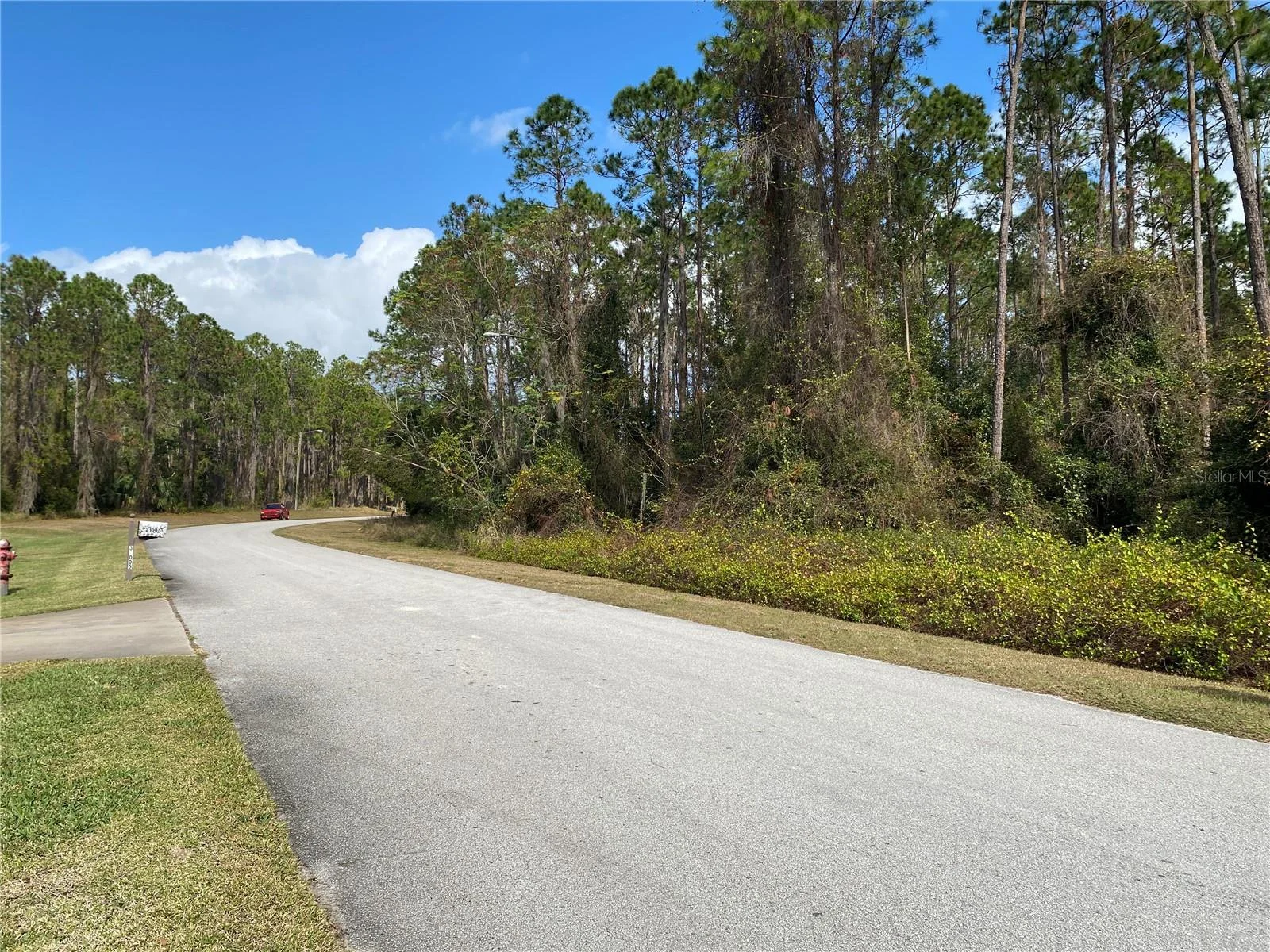 31004 SECRETARIAT TRL, LEESBURG, FL — photo 4