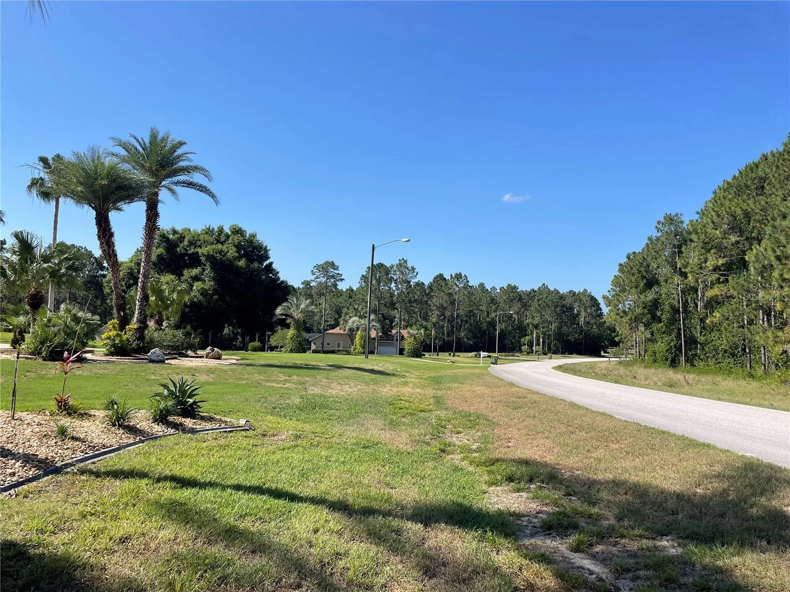 31004 SECRETARIAT TRL, LEESBURG, FL — photo 5