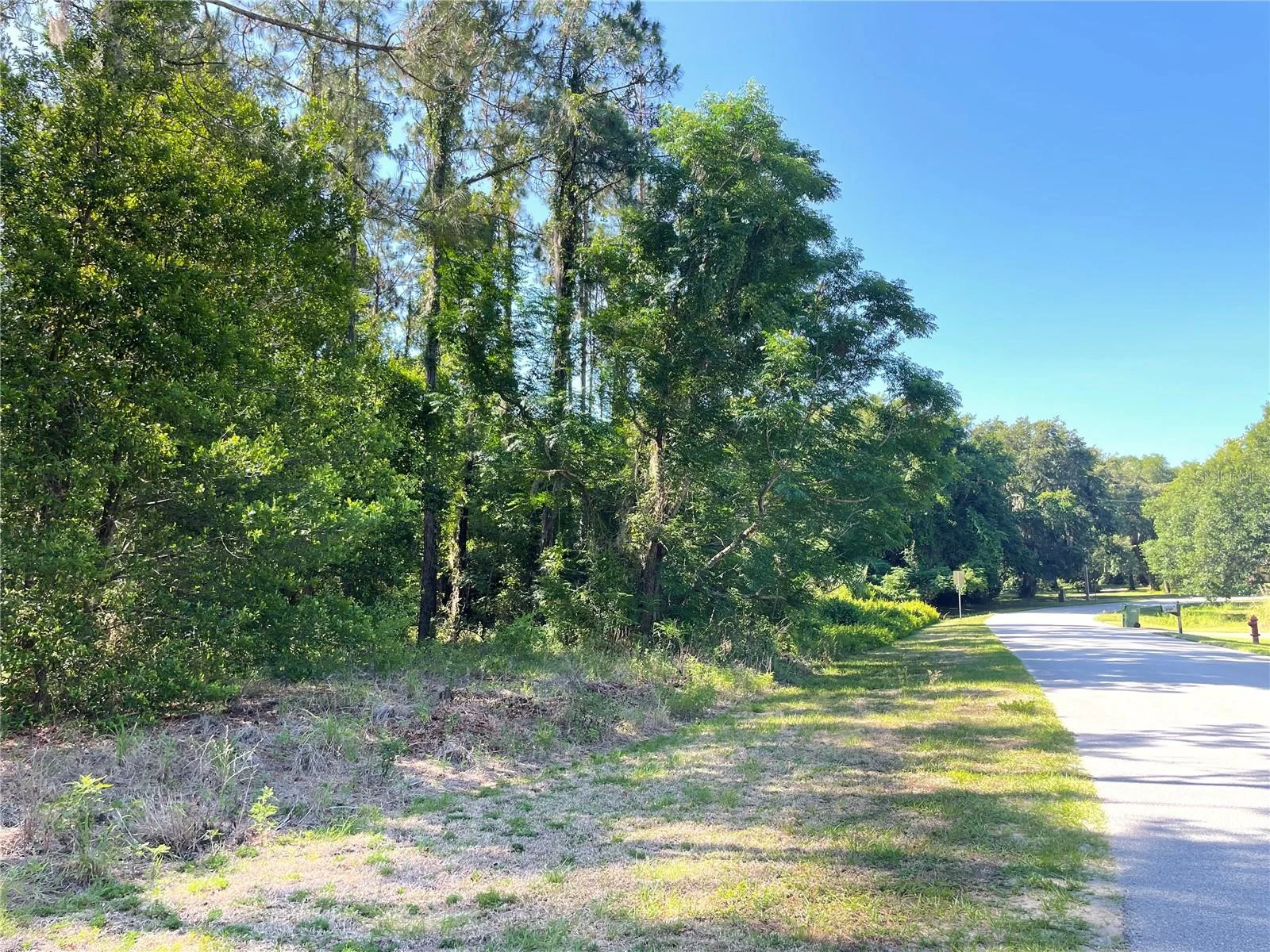 31004 SECRETARIAT TRL, LEESBURG, FL — photo 9