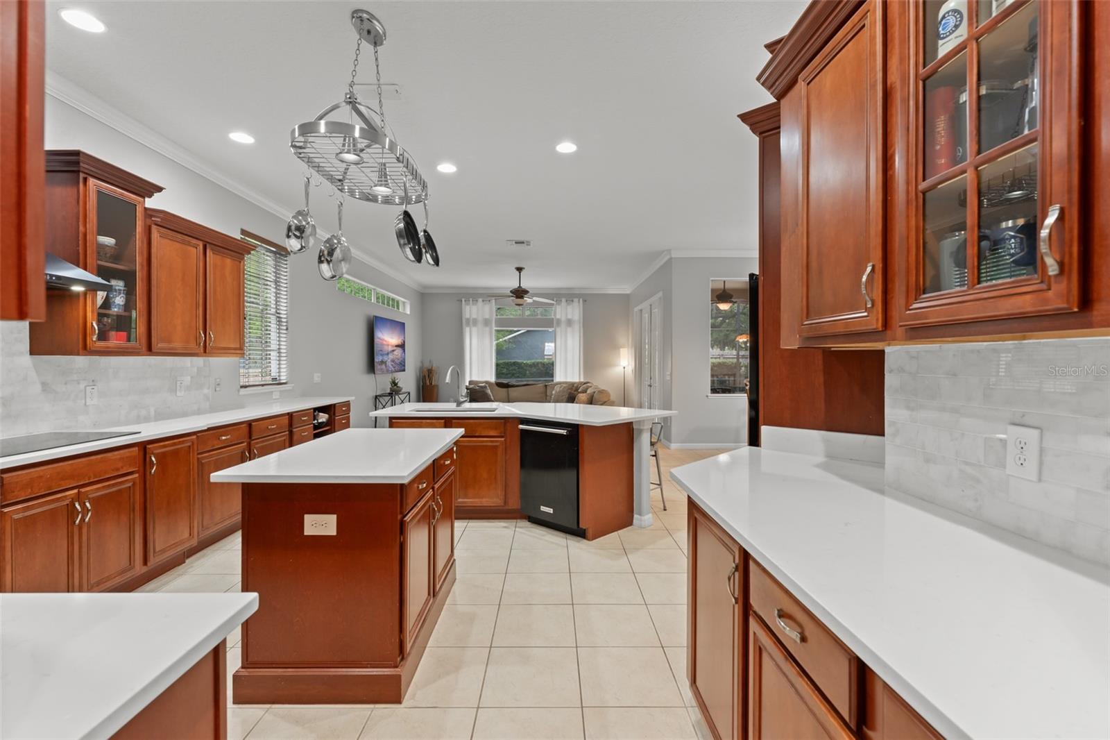 14411 HAMPSHIRE BAY CIR, WINTER GARDEN, FL — photo 9