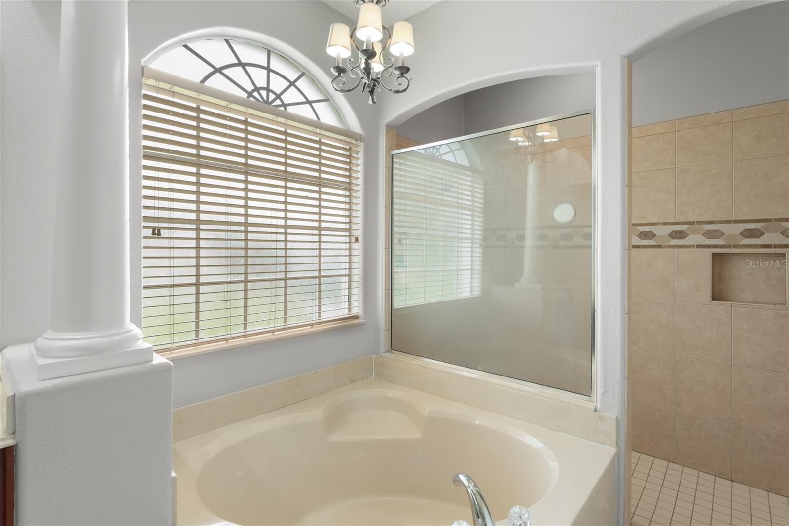 14411 HAMPSHIRE BAY CIR, WINTER GARDEN, FL — photo 28