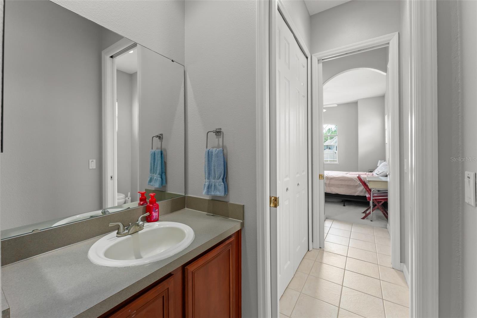 14411 HAMPSHIRE BAY CIR, WINTER GARDEN, FL — photo 42