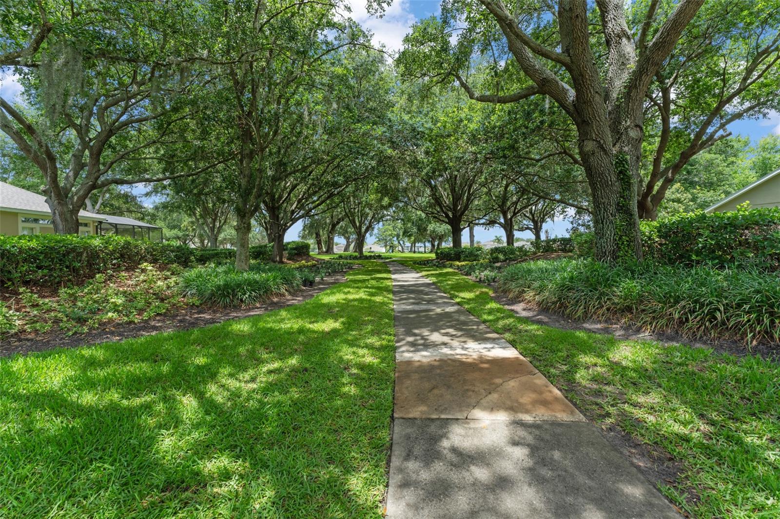 14411 HAMPSHIRE BAY CIR, WINTER GARDEN, FL — photo 64