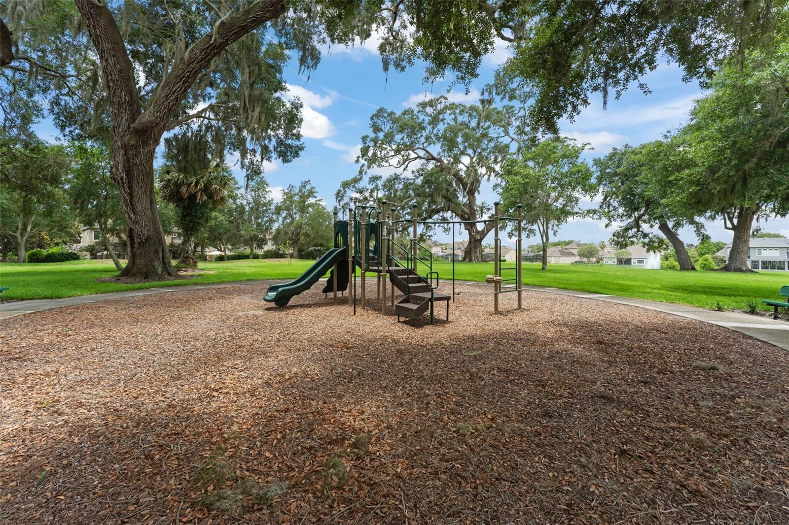 14411 HAMPSHIRE BAY CIR, WINTER GARDEN, FL — photo 66