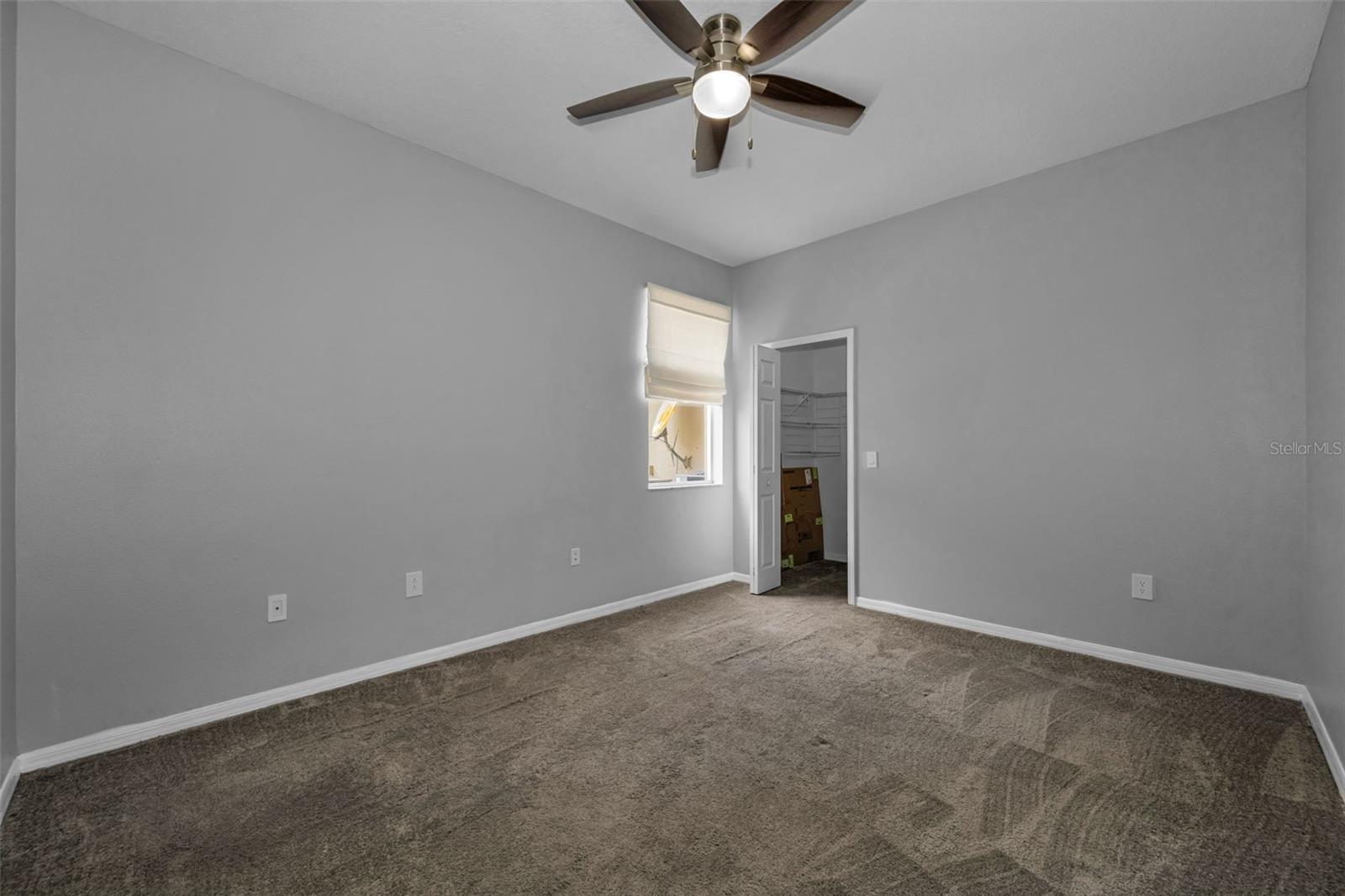 1345 HALAPA WAY, TRINITY, FL — photo 31