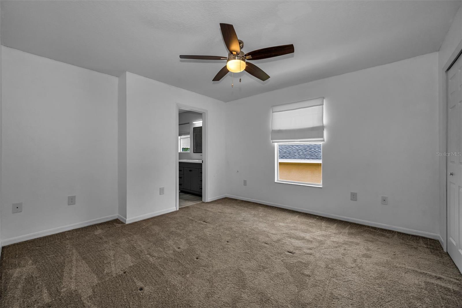 1345 HALAPA WAY, TRINITY, FL — photo 50