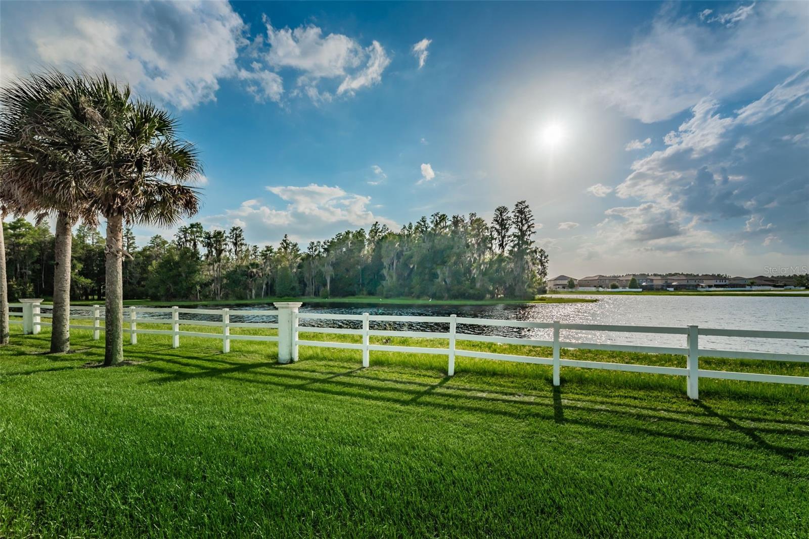 1345 HALAPA WAY, TRINITY, FL — photo 85