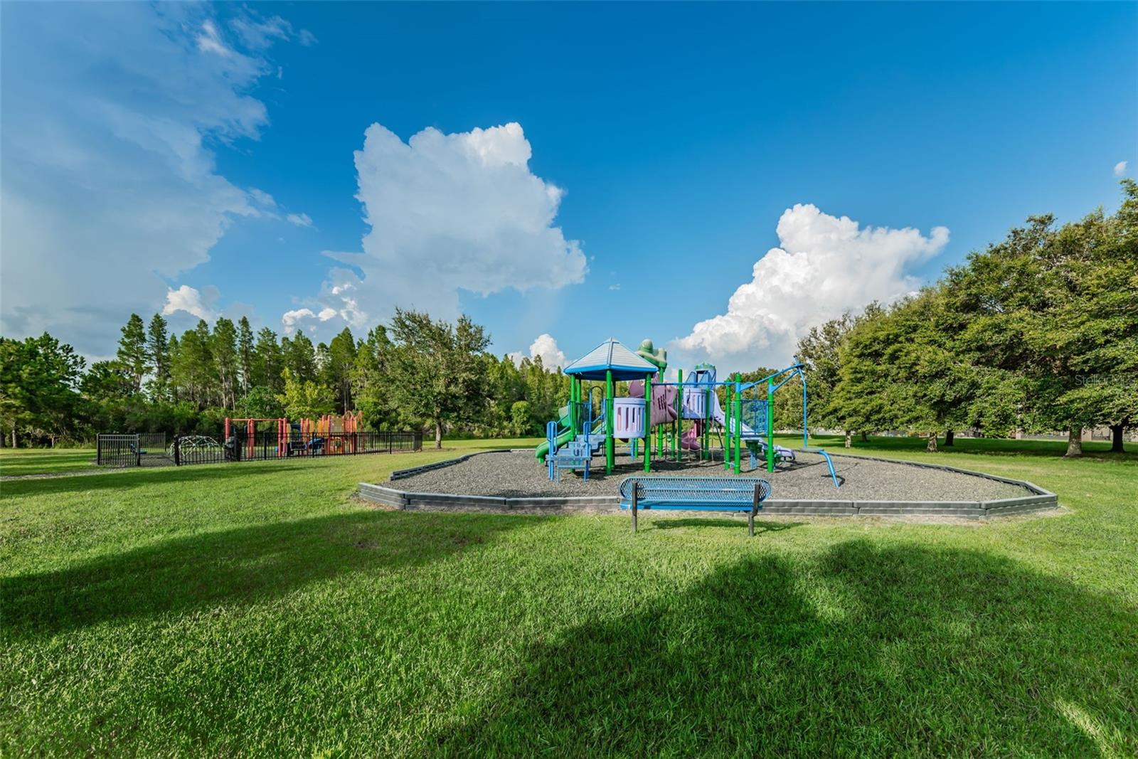 1345 HALAPA WAY, TRINITY, FL — photo 86