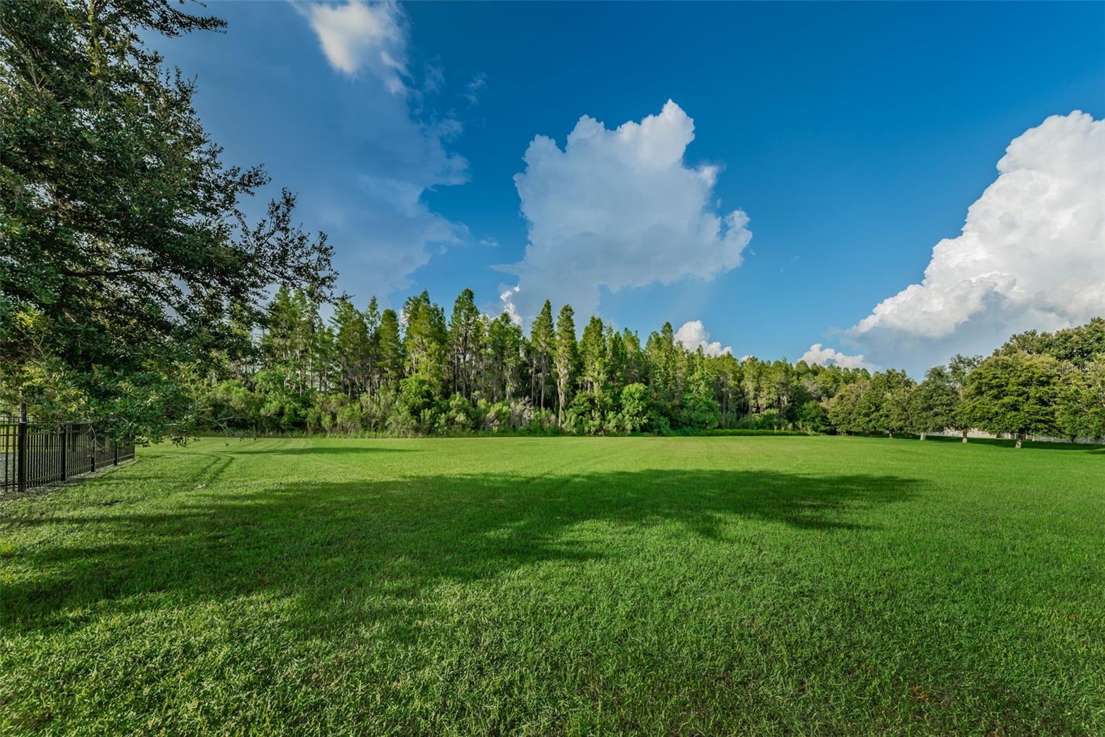 1345 HALAPA WAY, TRINITY, FL — photo 88