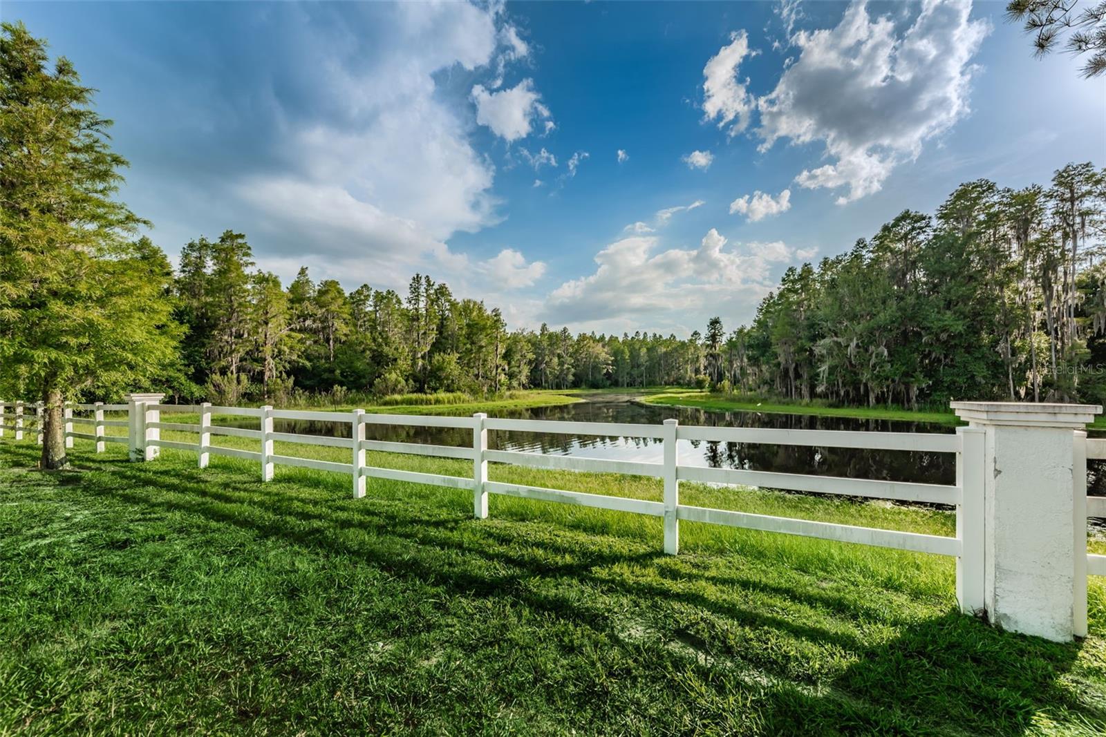 1345 HALAPA WAY, TRINITY, FL — photo 90