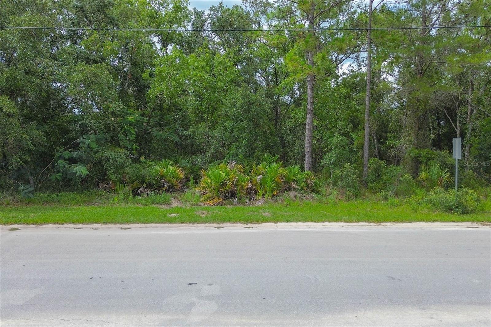 6859 W MERRIVALE LN, HOMOSASSA, FL — photo 2