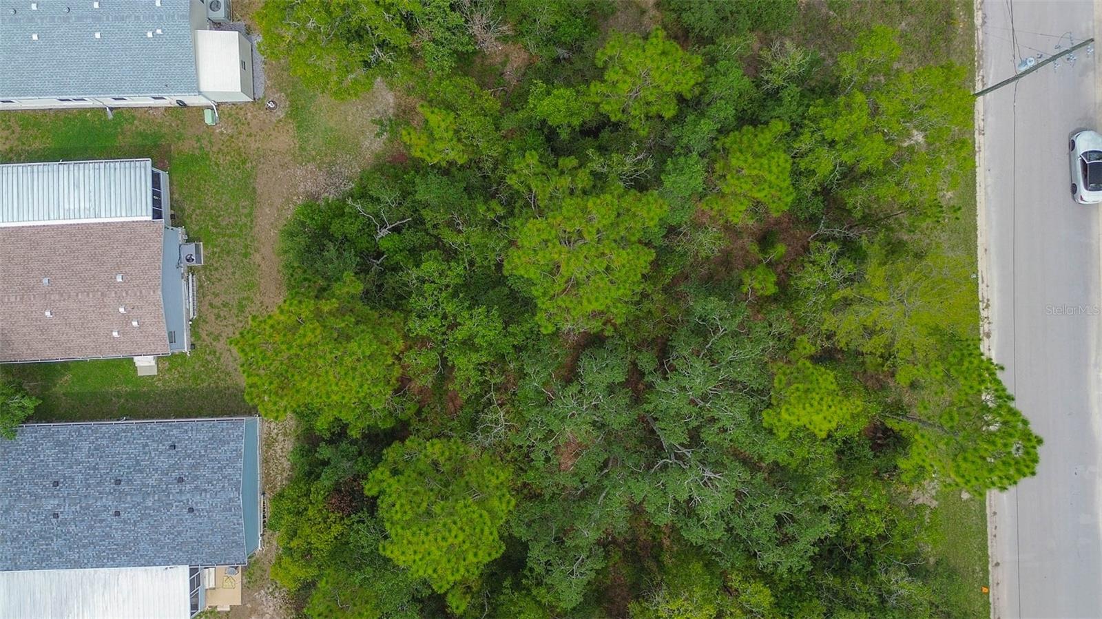 6859 W MERRIVALE LN, HOMOSASSA, FL — photo 10