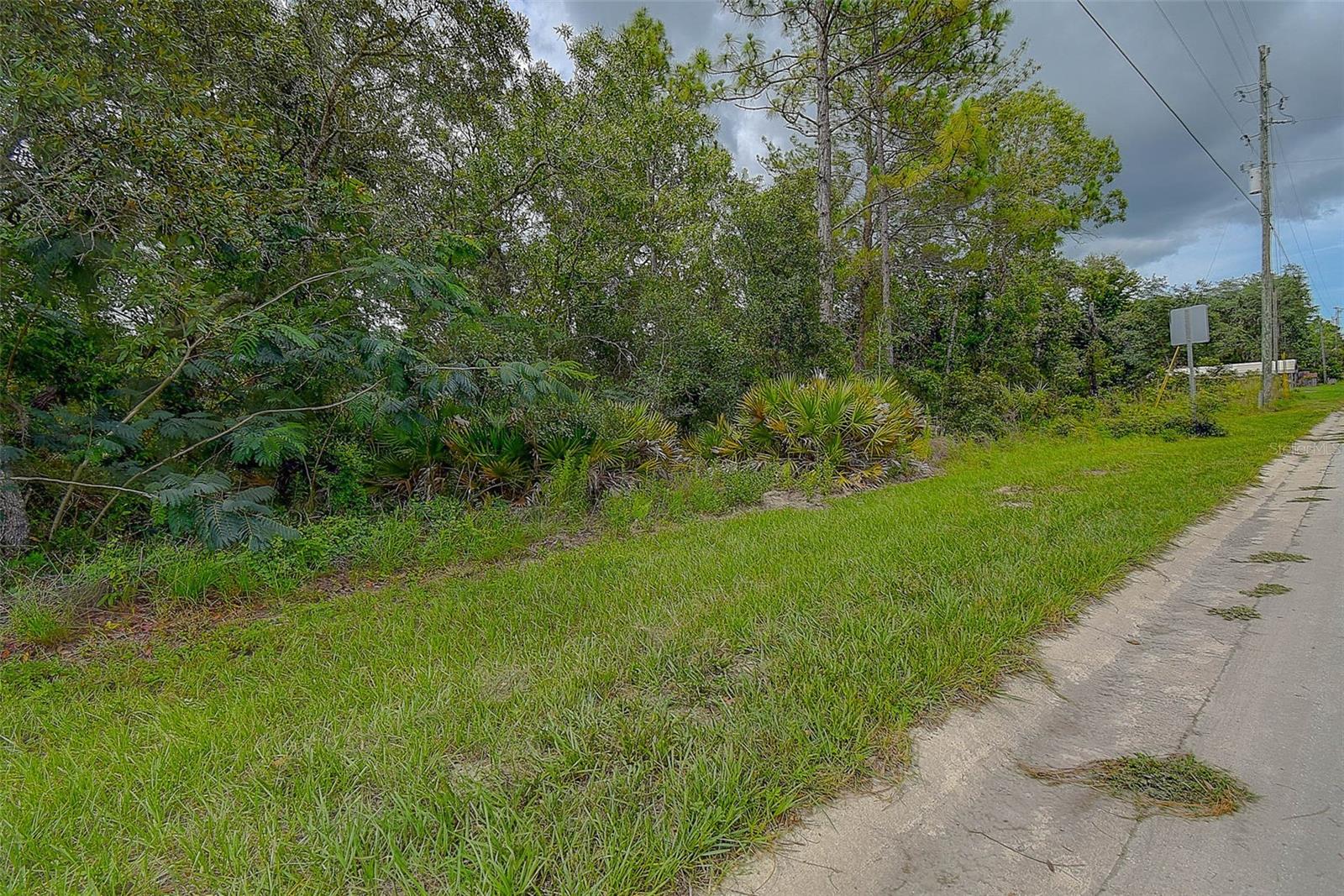6859 W MERRIVALE LN, HOMOSASSA, FL — photo 12