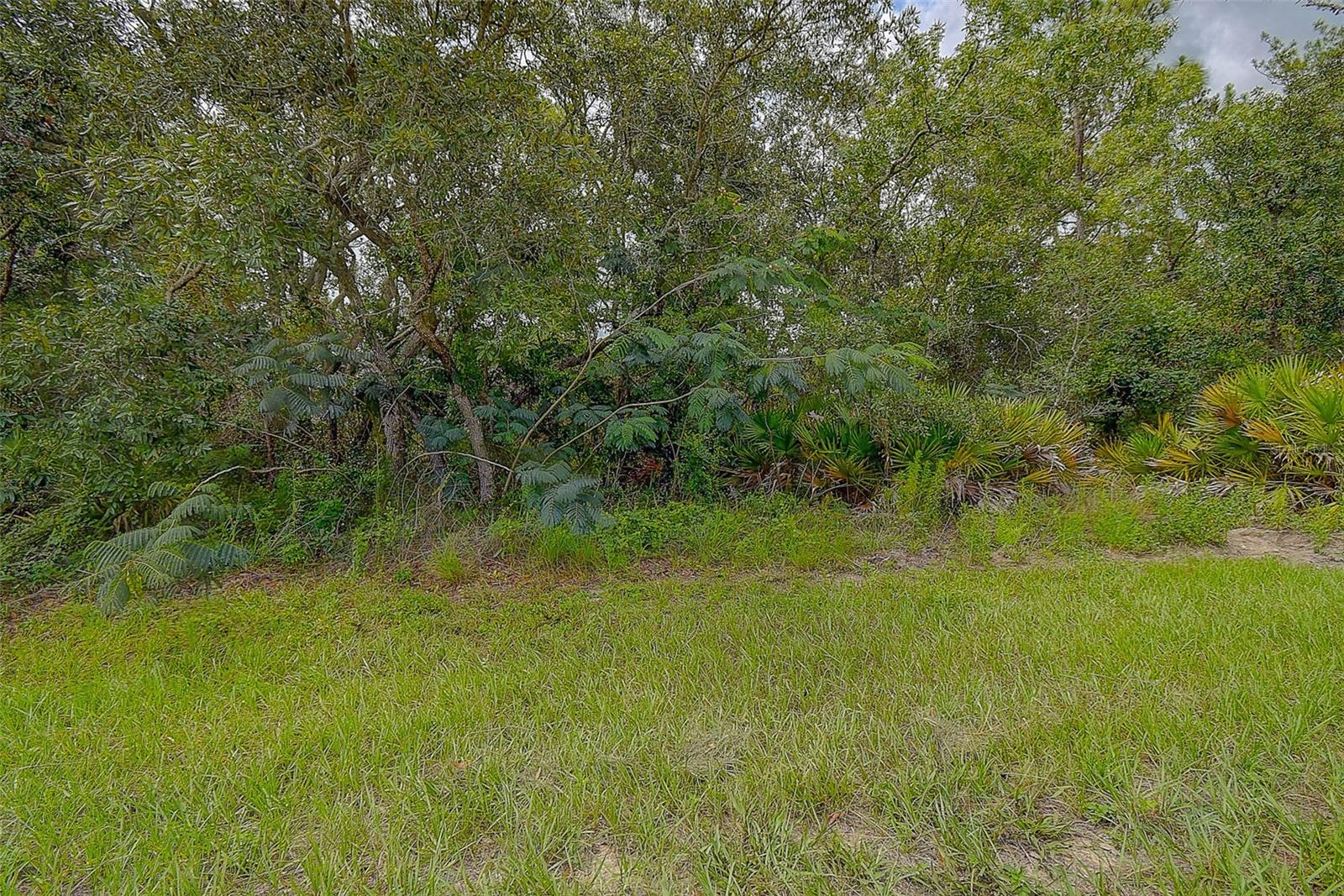 6859 W MERRIVALE LN, HOMOSASSA, FL — photo 13