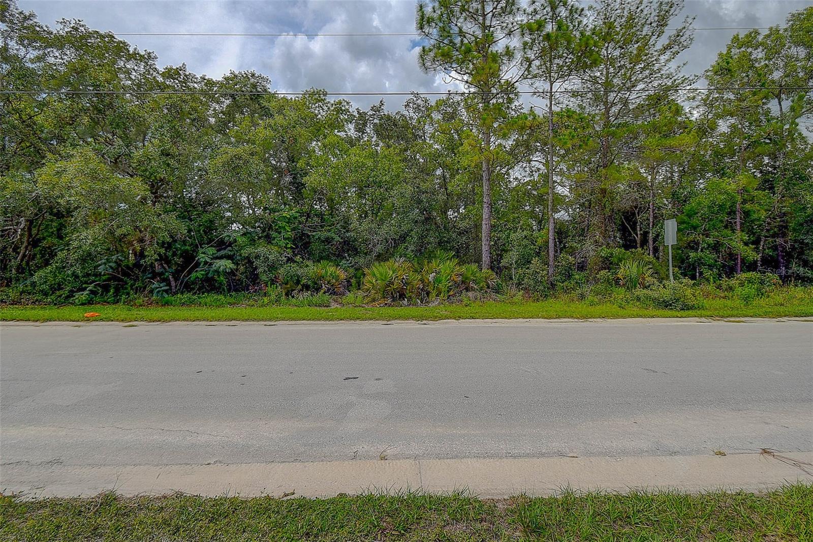 6859 W MERRIVALE LN, HOMOSASSA, FL — photo 14