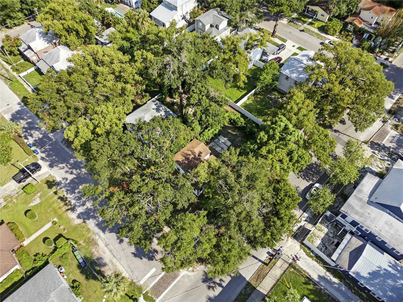 501 E SPARKMAN AVE, TAMPA, FL — photo 30