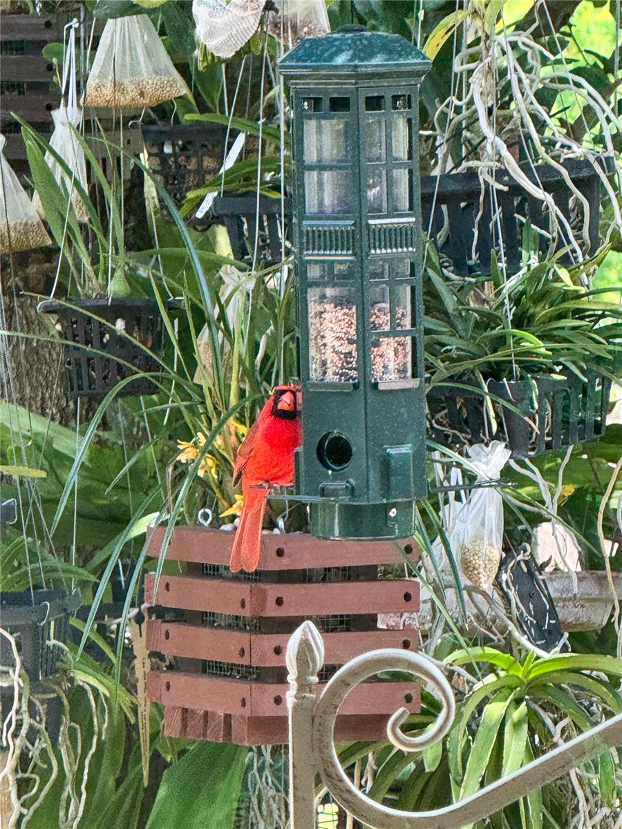 1651 AMSEL FALLS PARK TER, WINTER GARDEN, FL — photo 30