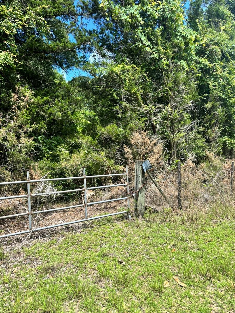 11916 NW 80TH CT, CHIEFLAND, FL — photo 2