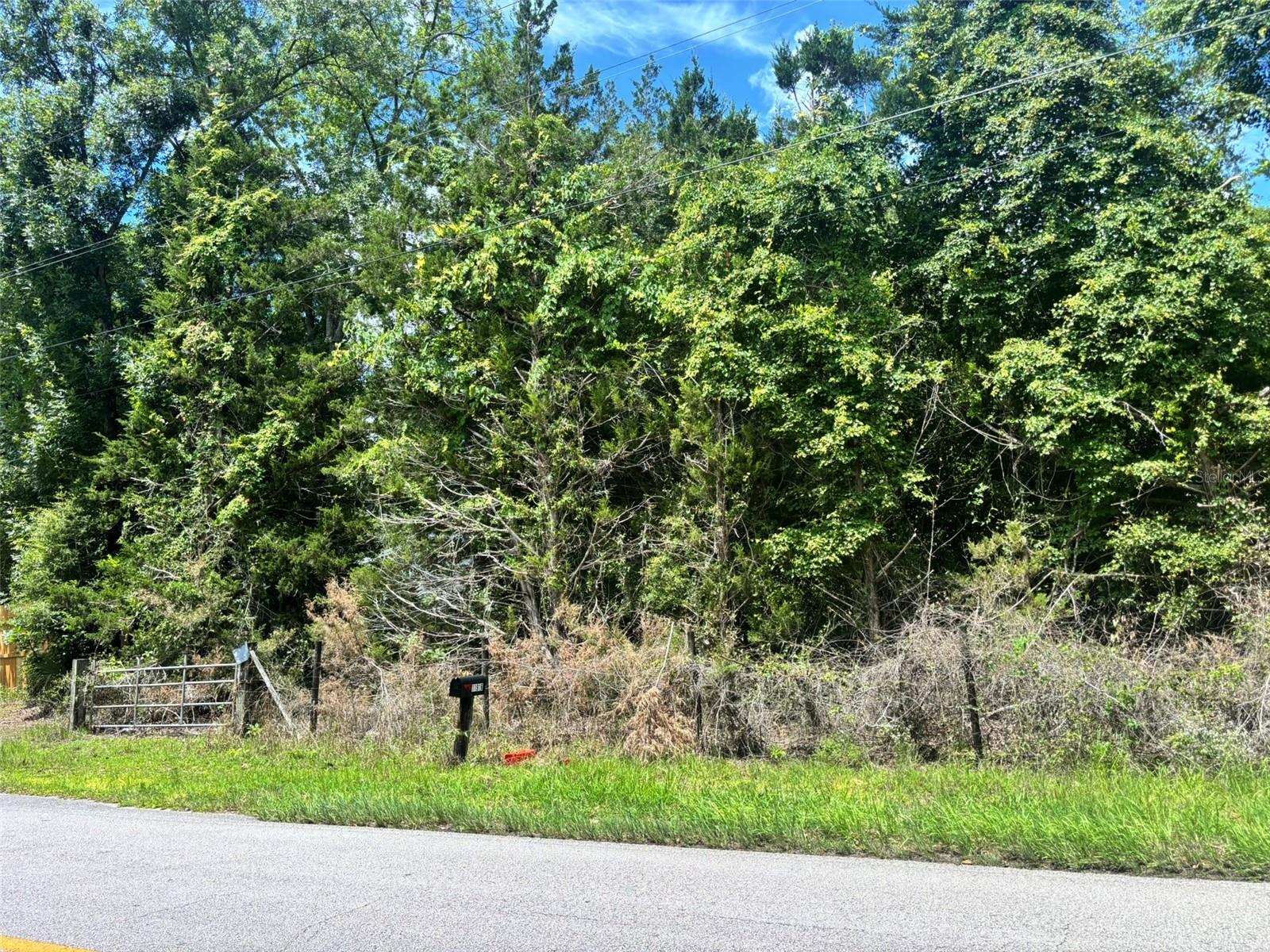 11916 NW 80TH CT, CHIEFLAND, FL — photo 3