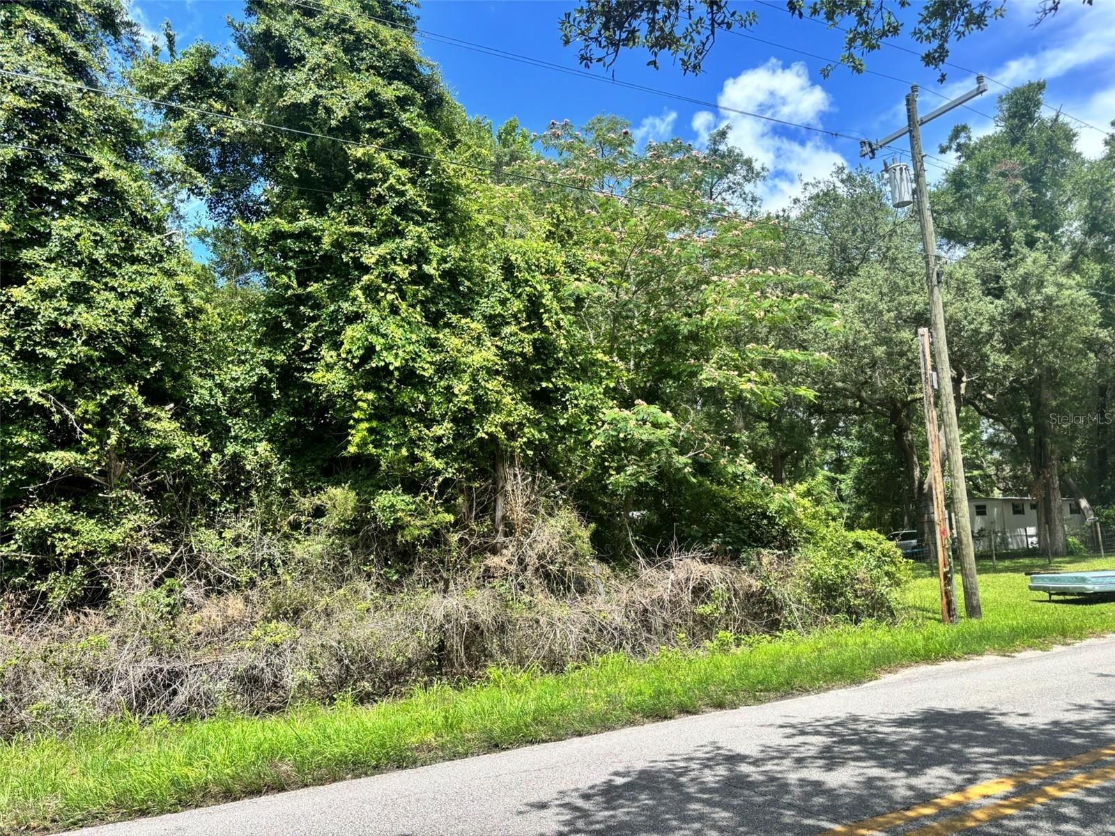 11916 NW 80TH CT, CHIEFLAND, FL — photo 4