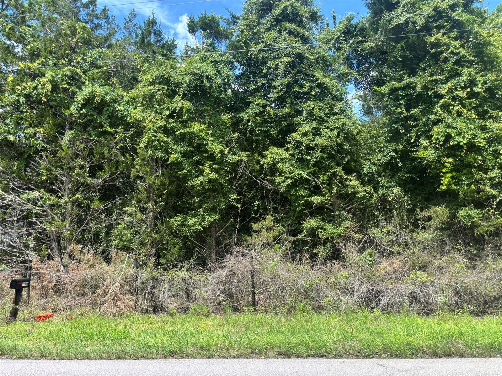 11916 NW 80TH CT, CHIEFLAND, FL — photo 5