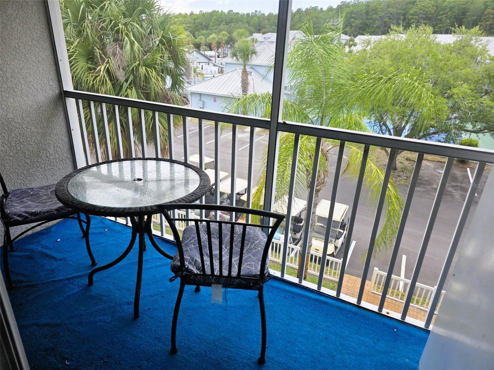 2077 WETLAND PT #1301, LUTZ, FL — photo 34