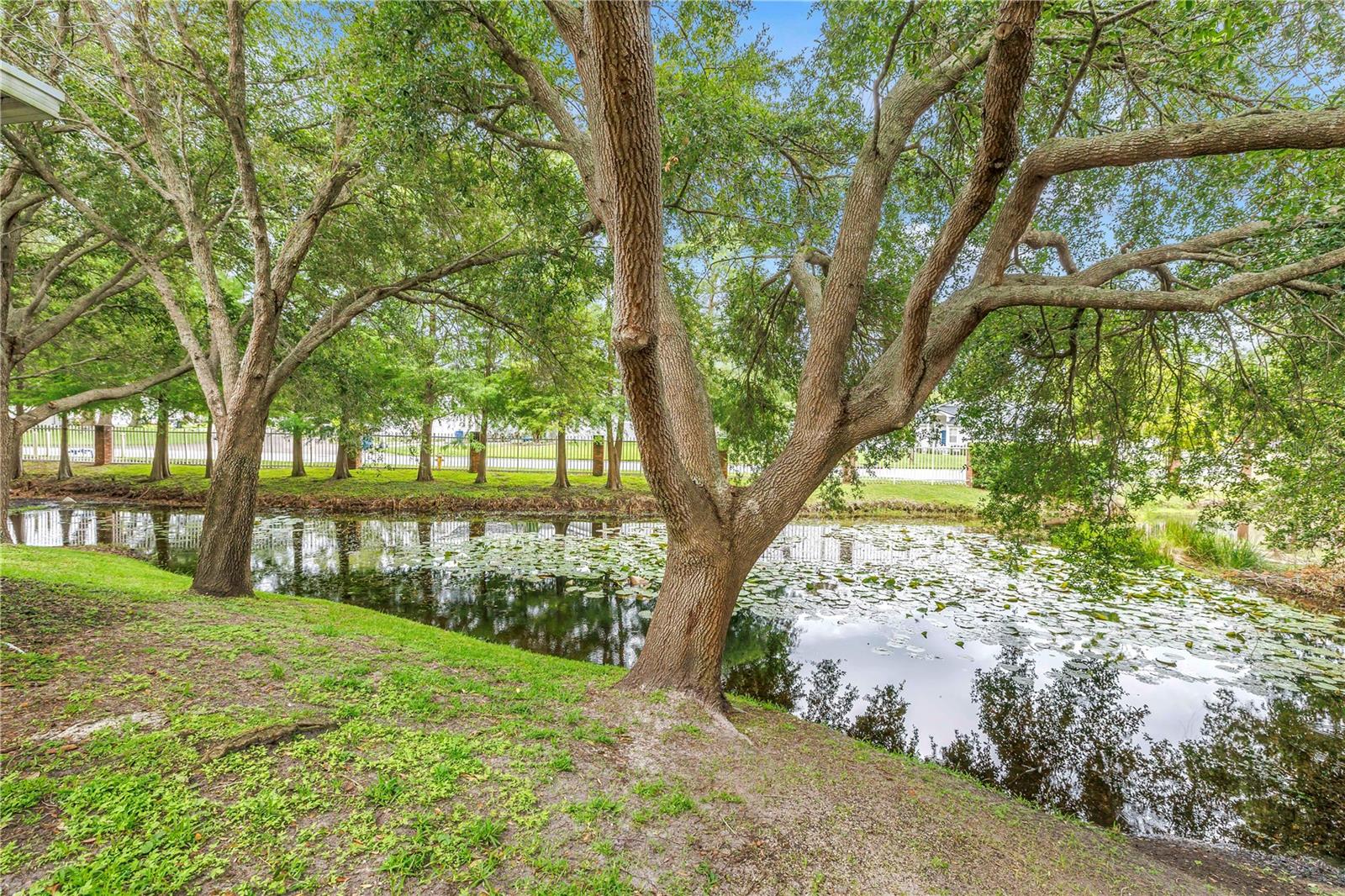 2982 ESTANCIA PL, CLEARWATER, FL — photo 6