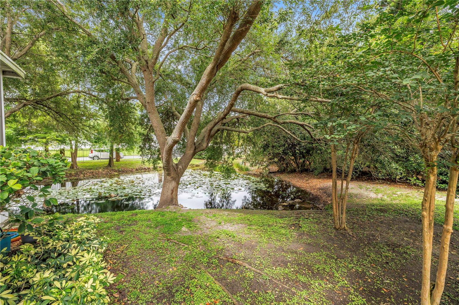2982 ESTANCIA PL, CLEARWATER, FL — photo 41