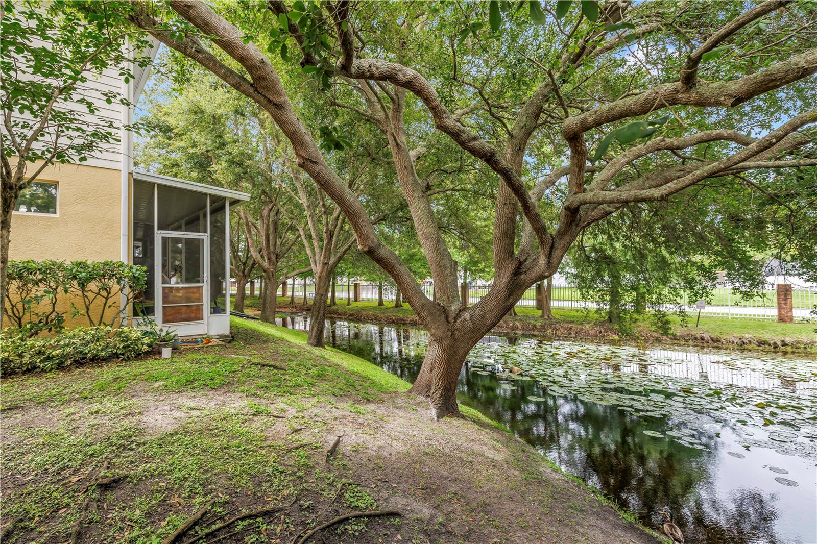 2982 ESTANCIA PL, CLEARWATER, FL — photo 42