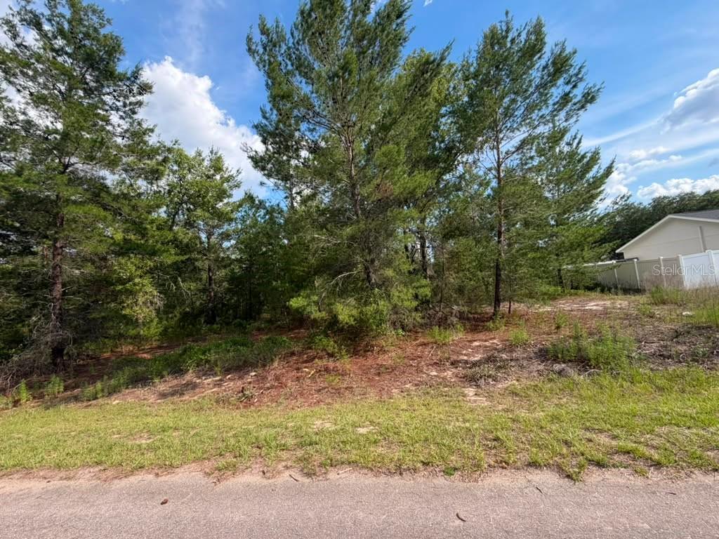 22 FISHER RUN LN, OCKLAWAHA, FL