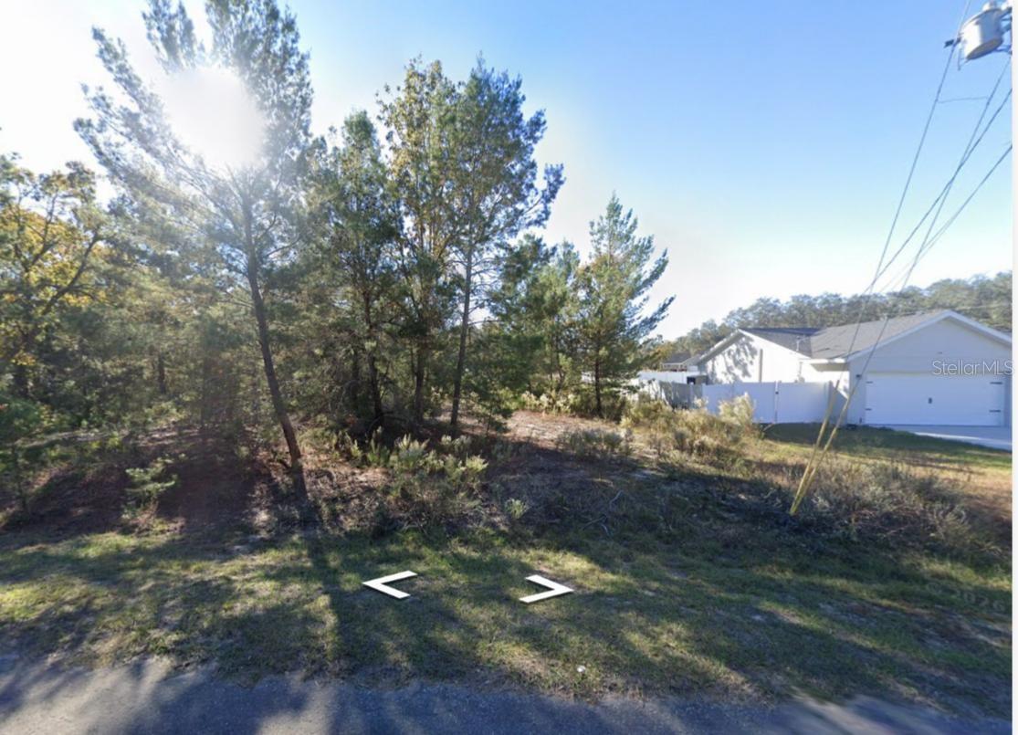 22 FISHER RUN LN, OCKLAWAHA, FL — photo 2