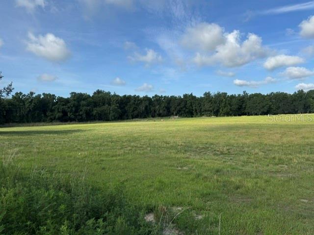 701 BROOKE RD, FORT MEADE, FL