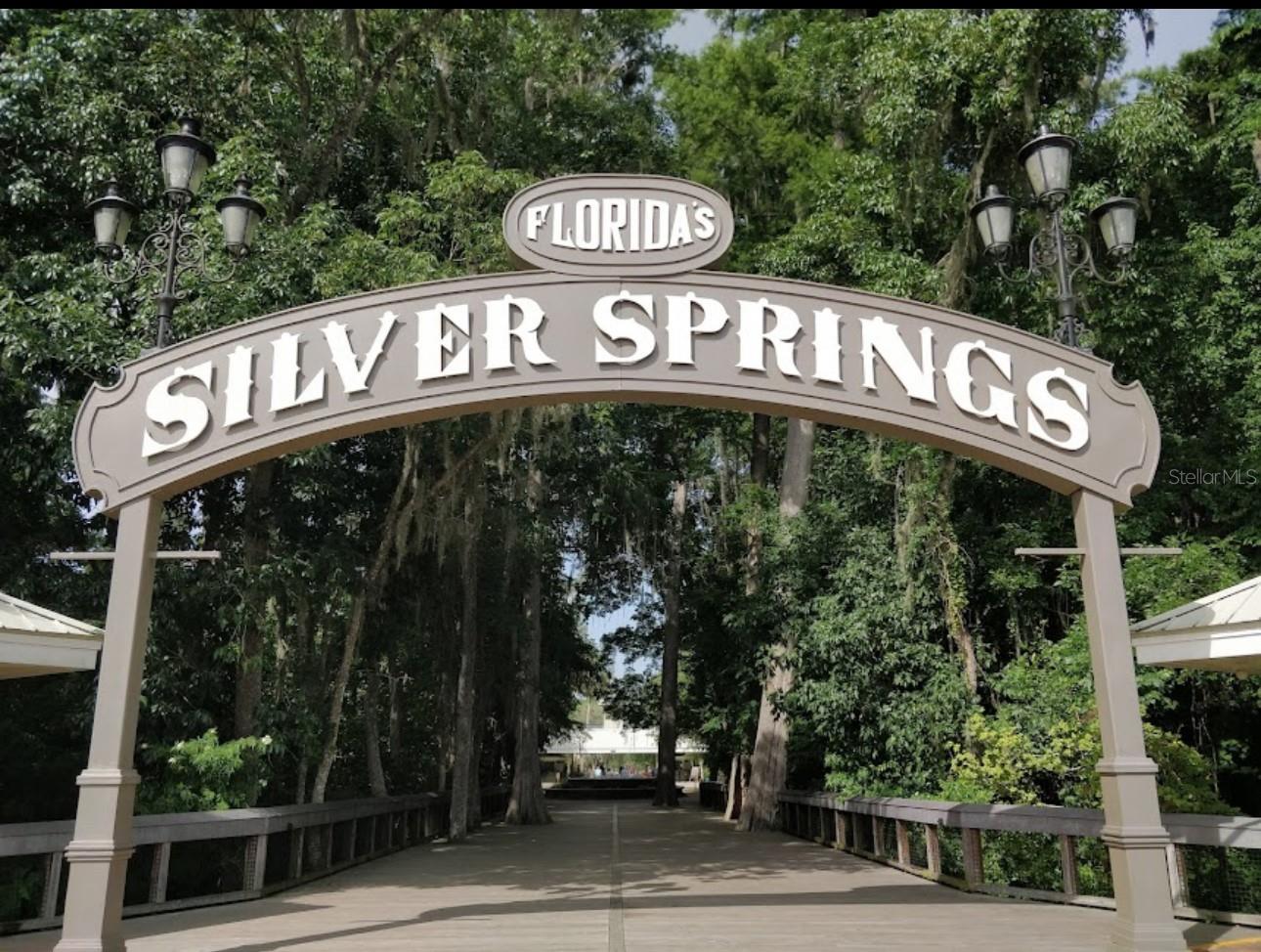 4300 NE 132ND CT, SILVER SPRINGS, FL — photo 44