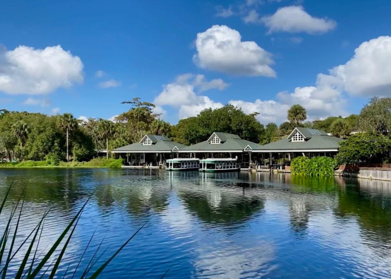 4300 NE 132ND CT, SILVER SPRINGS, FL — photo 45