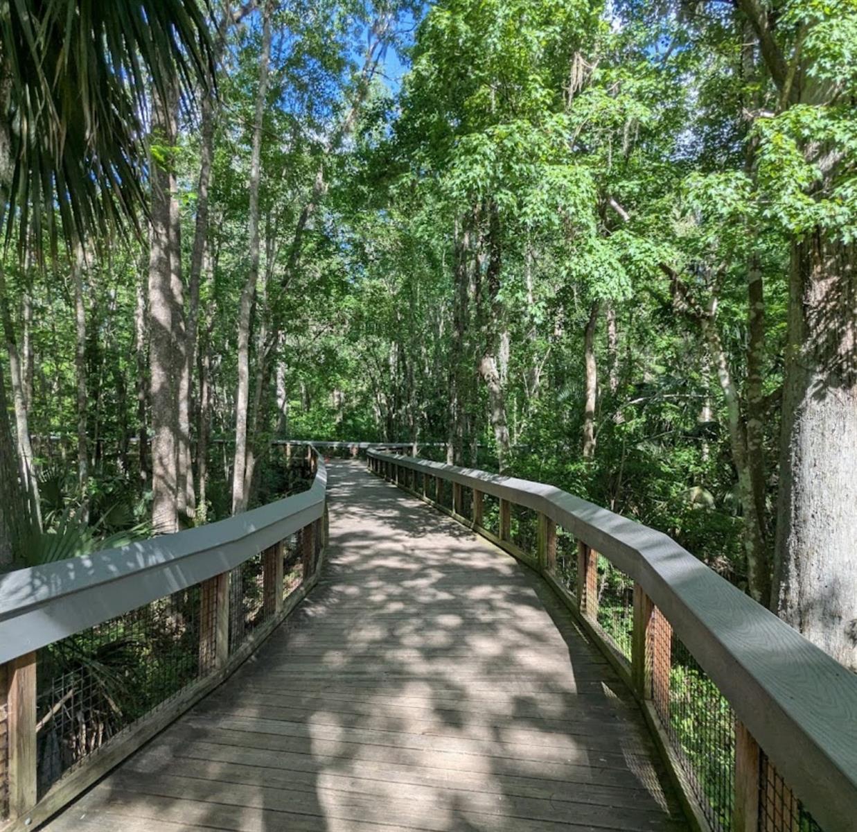 4300 NE 132ND CT, SILVER SPRINGS, FL — photo 47