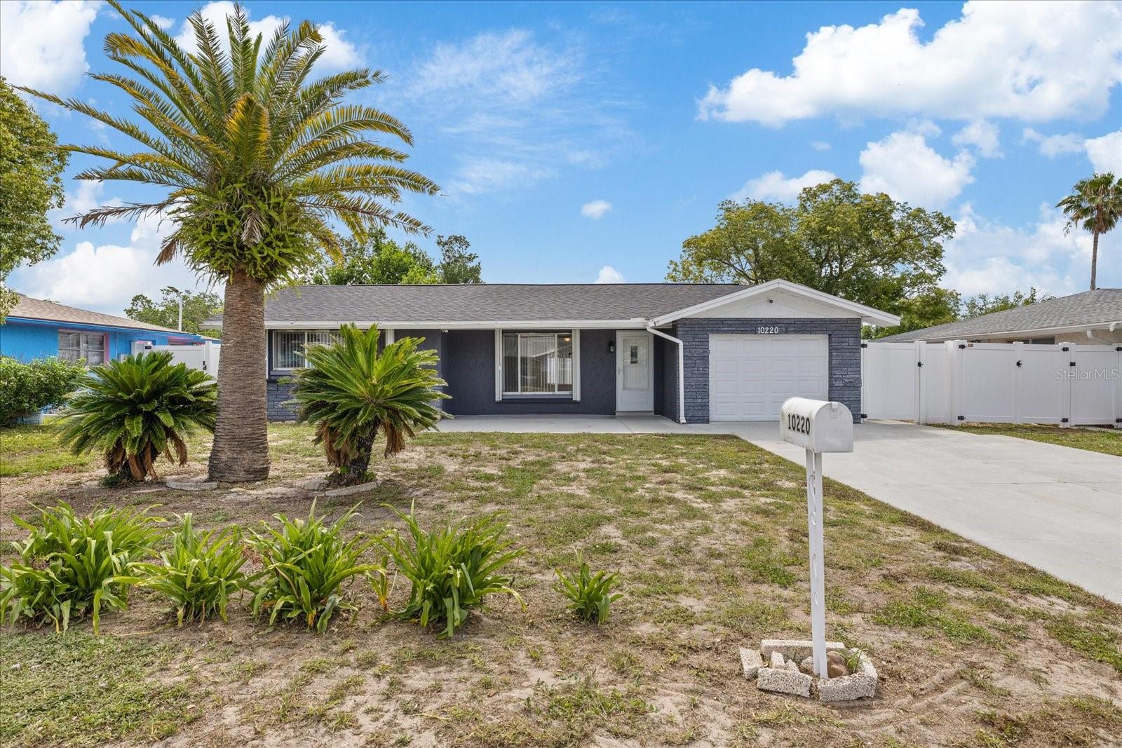 10220 OAK HILL DR, PORT RICHEY, FL — photo 7