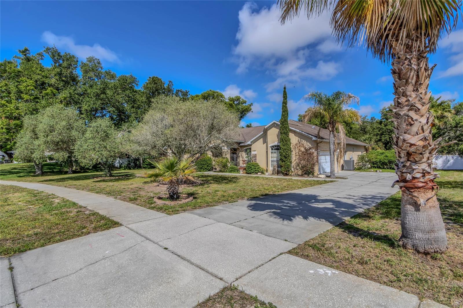 13189 JESSICA DR, SPRING HILL, FL — photo 10