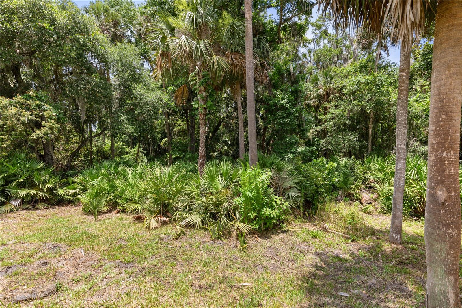 41 AUBERRY DR, PALM COAST, FL — photo 49
