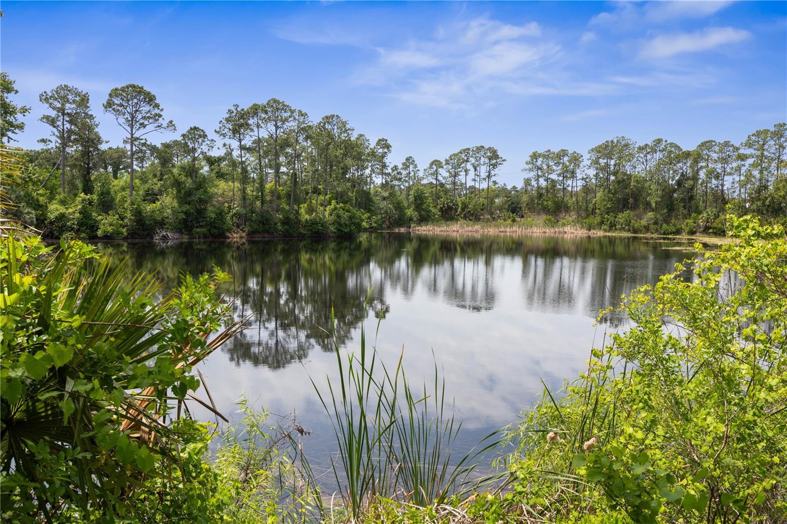 41 AUBERRY DR, PALM COAST, FL — photo 80