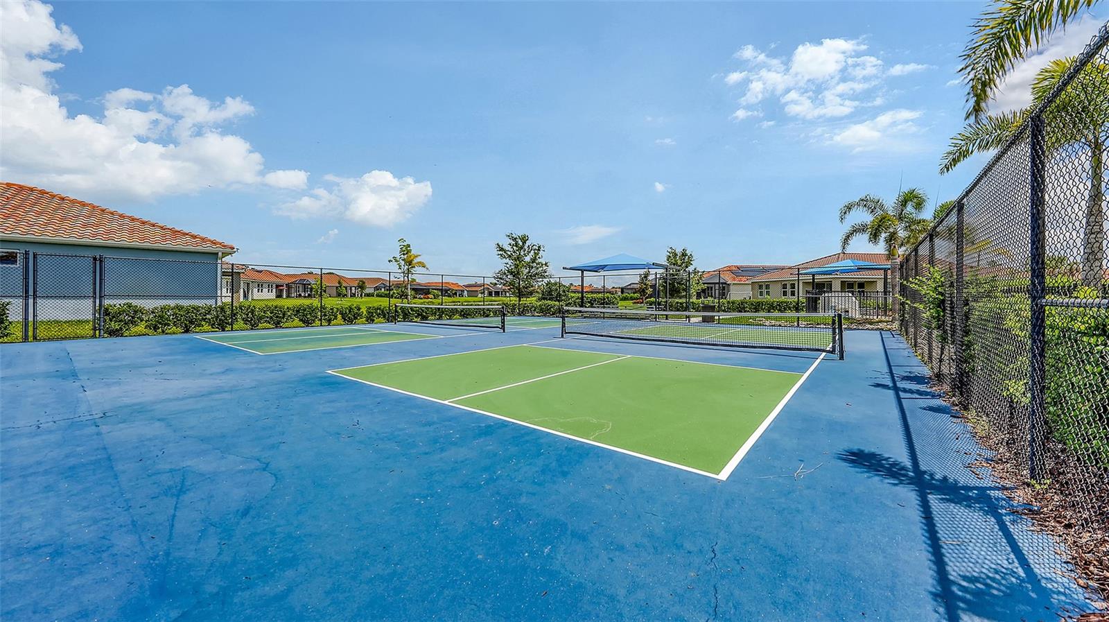 491 DAYLILY BLVD, NOKOMIS, FL — photo 62