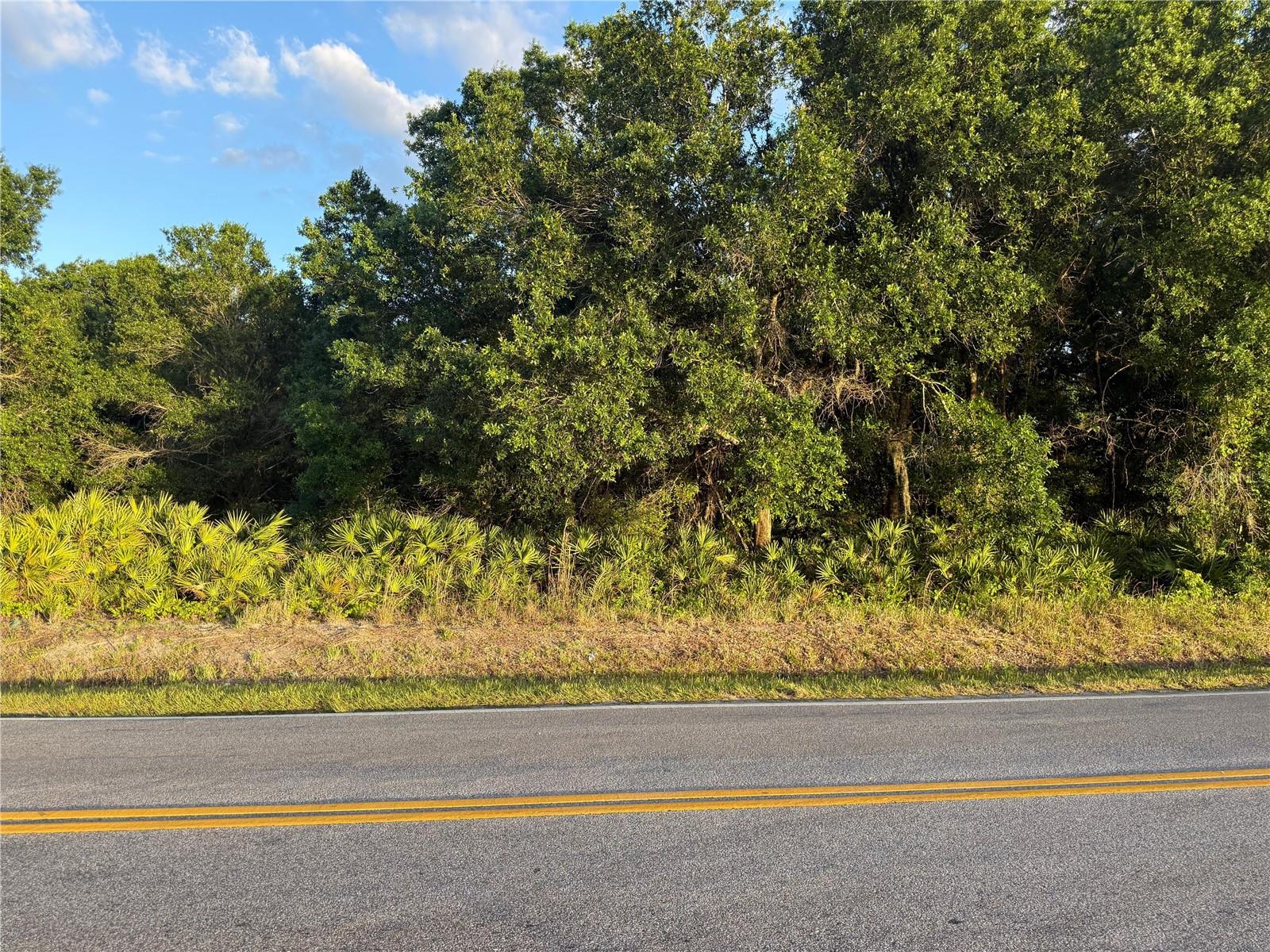 0 ALTURAS BABSON PARK CUTOFF ROAD, LAKE WALES, FL