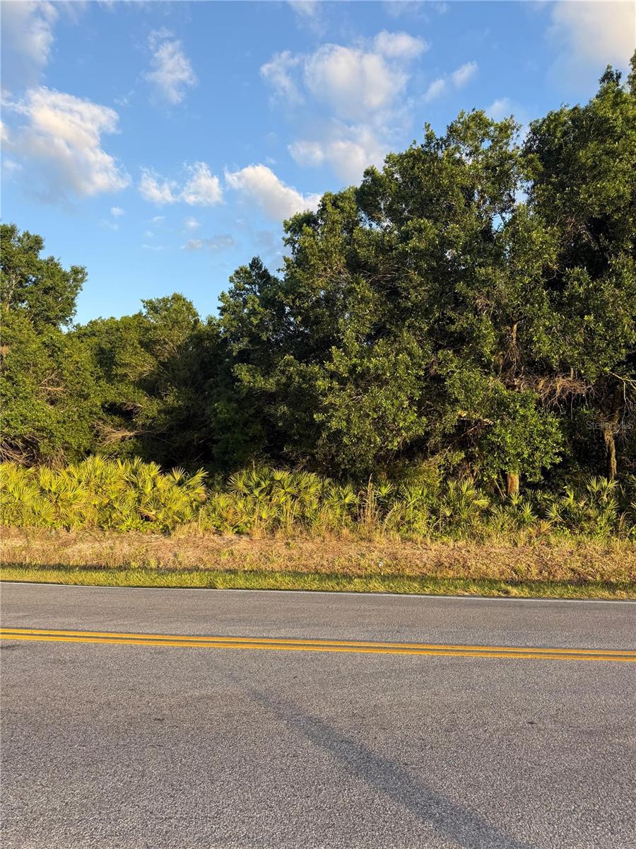 0 ALTURAS BABSON PARK CUTOFF ROAD, LAKE WALES, FL — photo 2