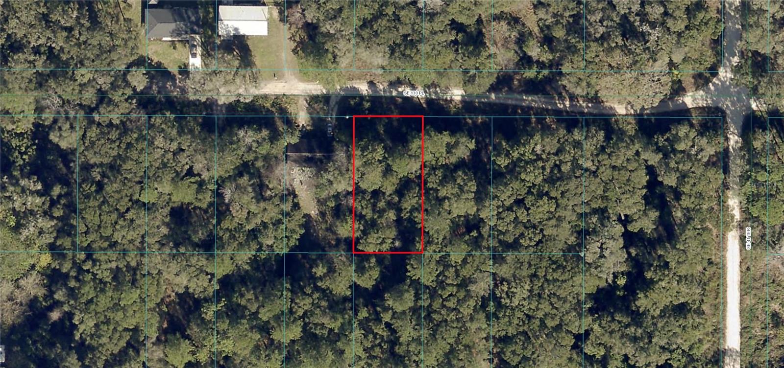 SE 130TH PL, BELLEVIEW, FL — photo 2