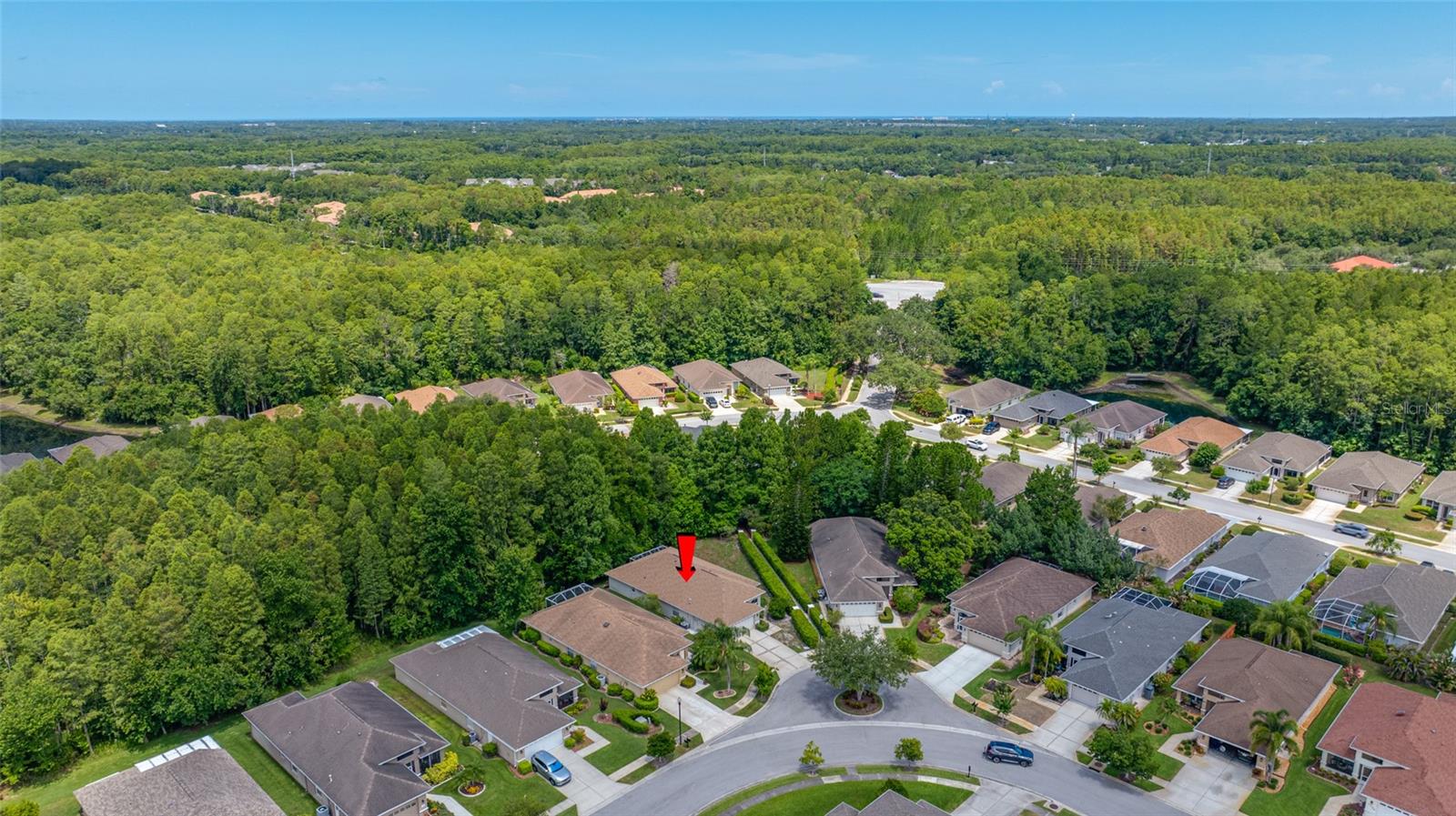7740 CRAIGHURST LOOP, TRINITY, FL — photo 46