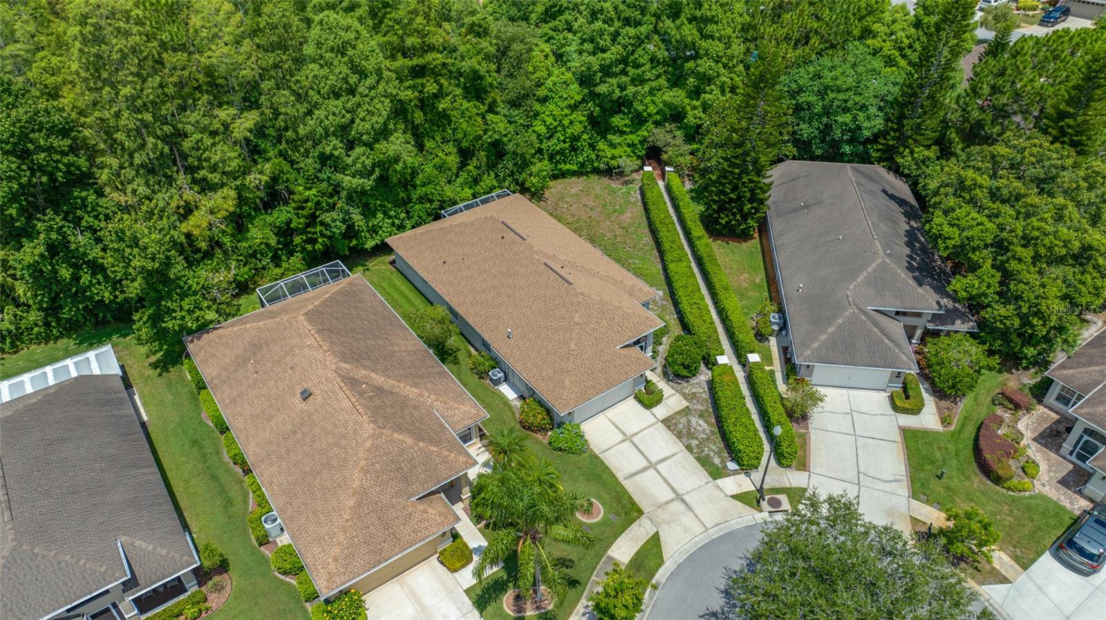 7740 CRAIGHURST LOOP, TRINITY, FL — photo 60