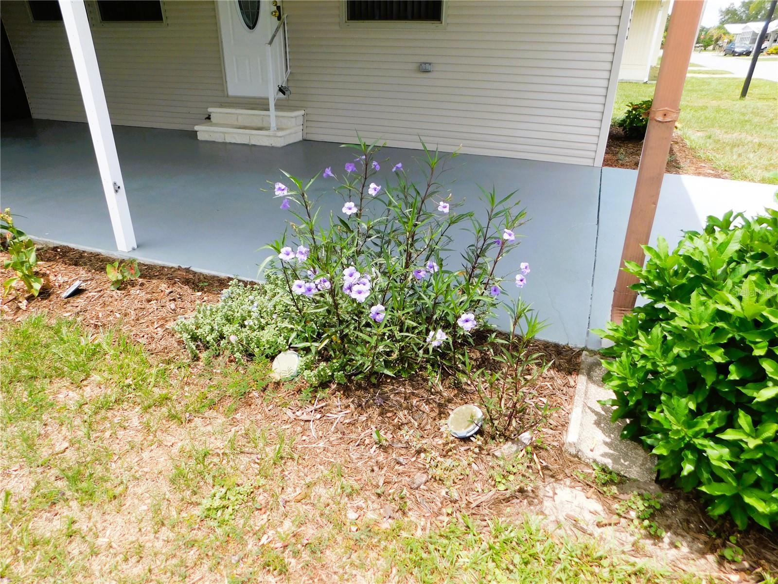 5315 ANTIGUA DR, ZEPHYRHILLS, FL — photo 2