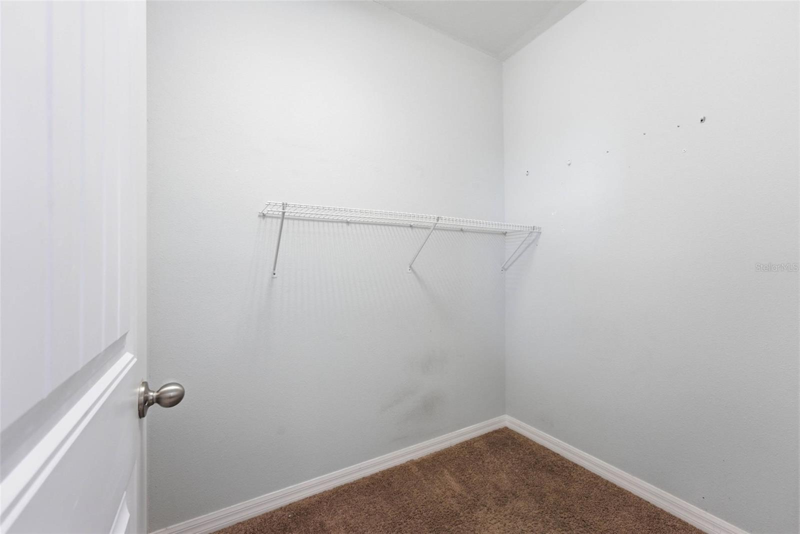 13786 SUMMER HARBOR CT, WINDERMERE, FL — photo 52