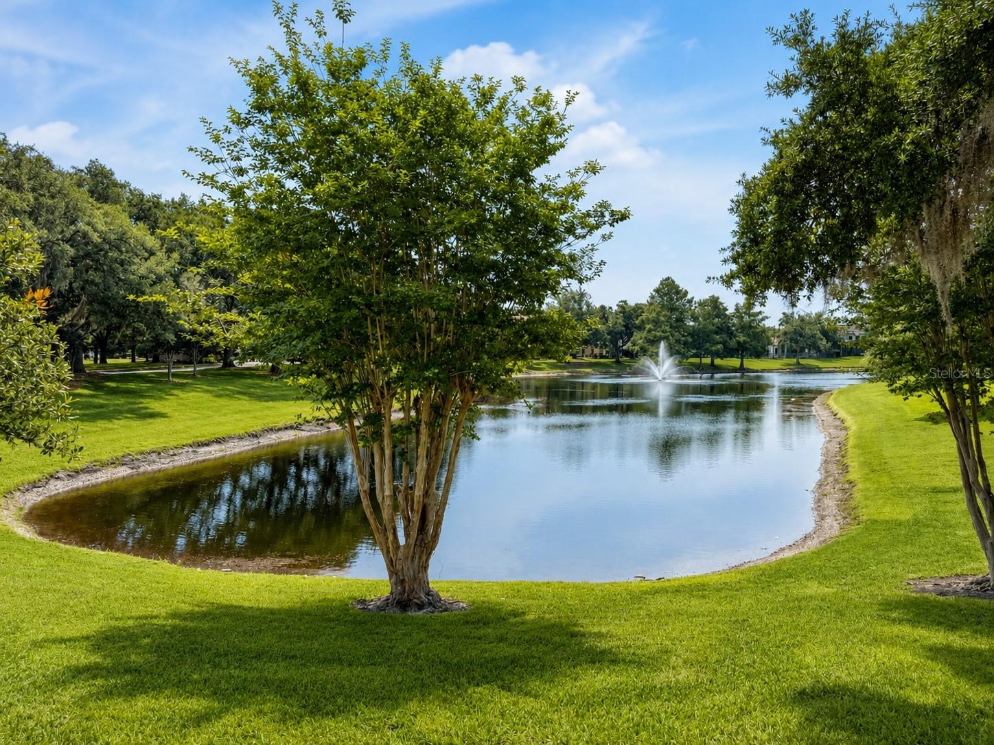 8814 PHILLIPS BAY DR, ORLANDO, FL — photo 4