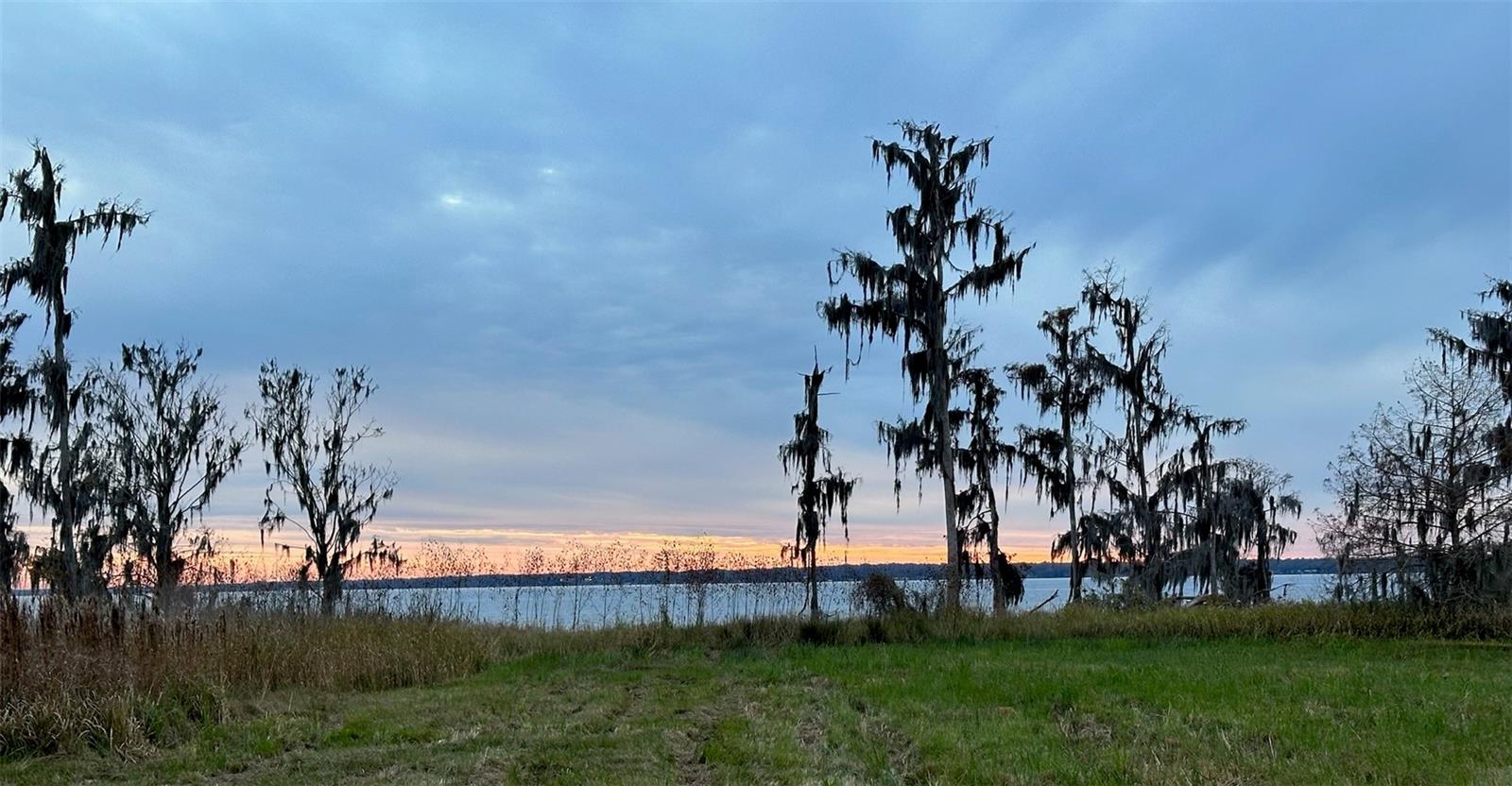 14453 ANDALUSIA TRL, BUNNELL, FL — photo 19