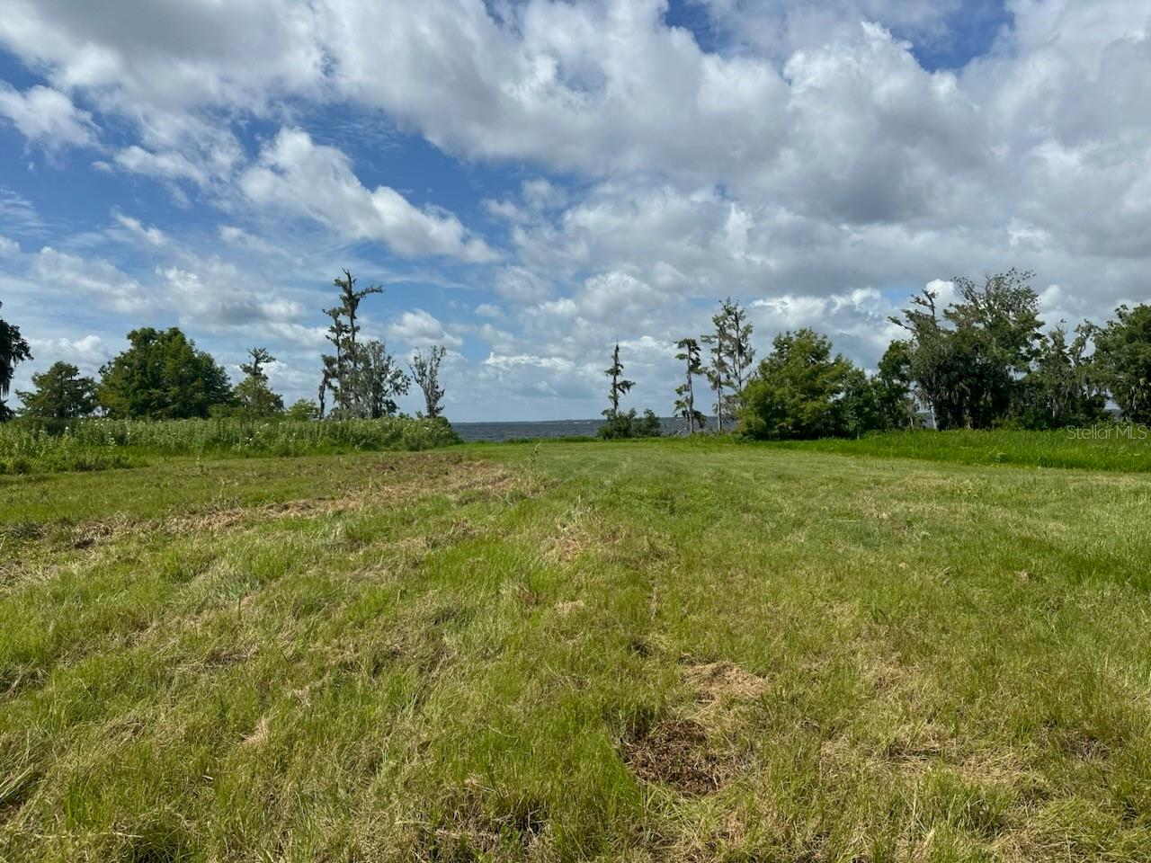 14453 ANDALUSIA TRL, BUNNELL, FL — photo 21